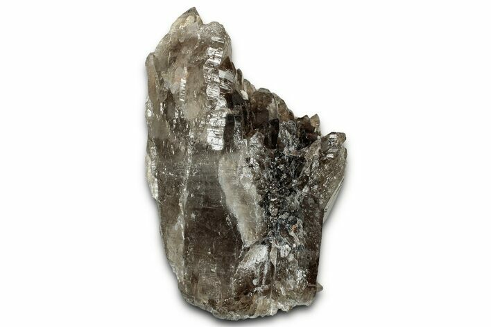 Lustrous Smoky Quartz Crystal Cluster - Malawi #326640